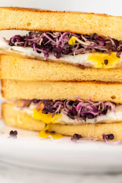 Snijd Het Ontbijt Spruitje Sandwich Een Witte Plaat — Stockfoto