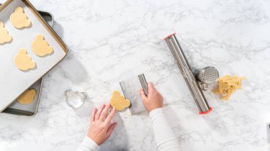 Düz yatıyordu. Yuvarlanan kurabiye hamuru ve panda şeklinde kurabiye kesme.