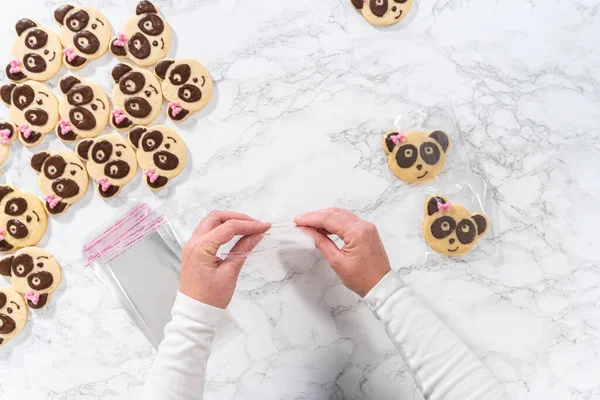 Flat Lay Packaging Panda Shaped Shortbread Cookies Chocolate Icing Individual — Stock Photo, Image