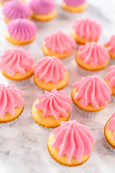 Piping Ombre Pink Buttercream Frosting Mini Vanilla Cupcakes — Stok Foto