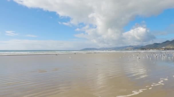 Playa Pismo Sorprendentemente Vacío Durante Día Invierno Ofreciendo Ambiente Sereno — Vídeo de stock
