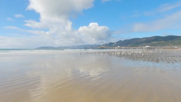 Playa Pismo Sorprendentemente Vacío Durante Día Invierno Ofreciendo Ambiente Sereno — Vídeo de stock
