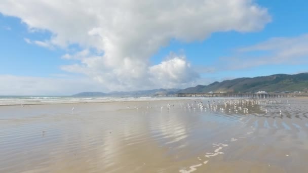 Pismo Beach Est Remarquablement Vide Pendant Une Journée Hiver Offrant — Video