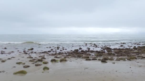 カリフォルニア州ミラマービーチの海岸を歩くと 冬の空が静かで反射的な雰囲気を作り出します — ストック動画