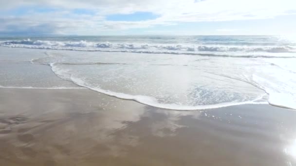 カリフォルニア州では 父と娘がエル キャピタン州立ビーチの砂漠に沿って穏やかな冬の散歩を共有しています — ストック動画