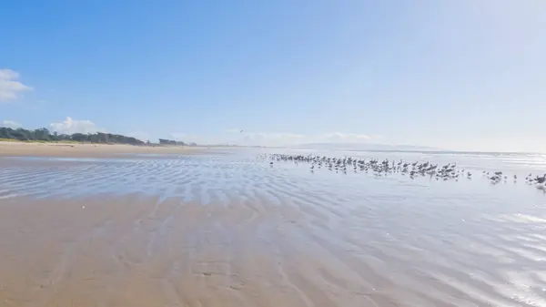 Spiaggia Pismo Sorprendentemente Vuota Durante Una Giornata Invernale Offrendo Atmosfera — Foto Stock