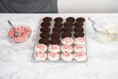 Naneli beyaz çikolatalı kurabiyeler hazırlamak için eritilmiş beyaz çikolataya çikolatalı kurabiyeler batırmak..