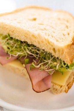 Jambon, salatalık ve filizli sandviçler beyaz tabakta..