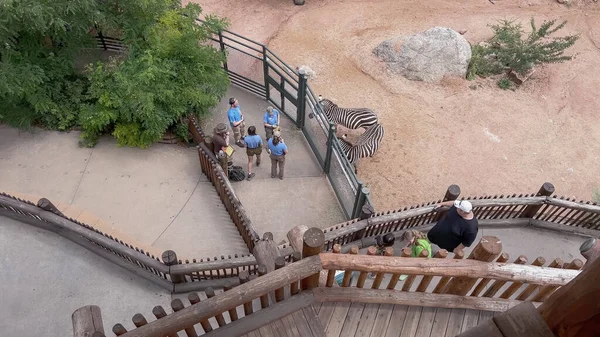 stock image Colorado Springs, Colorado, USA-August 17, 2022-Zibra exhibit at the Cheyenne Mountain Zoo during the summer.