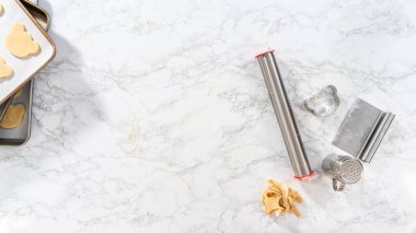 Düz yatıyordu. Yuvarlanan kurabiye hamuru ve panda şeklinde kurabiye kesme.