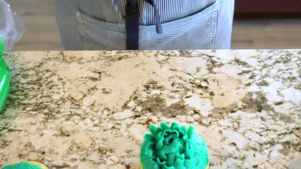 使用奶油糖霜 香草和巧克力杯蛋糕被巧妙地装饰 以类似于各种类型的仙人掌 创造了一个愉快的视觉迷人的甜点 展示了 — 图库视频影像
