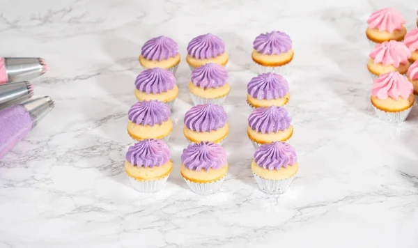 Piping Ombre Rosa Buttercreme Zuckerguss Auf Mini Vanille Cupcakes — Stockfoto