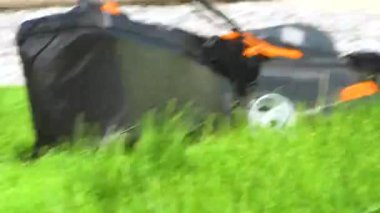 Castle Rock, Colorado, ABD-25 Haziran 2023 'te bir banliyö evinde, yemyeşil bir çim biçme makinesi titizlikle biçilir, iyi manikürlü ve davetkar bir açık hava alanı yaratır..