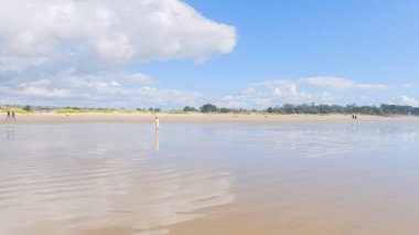 Küçük kız, soğuğa göğüs geriyor, kışın sahilde mayosuyla koşuyor..