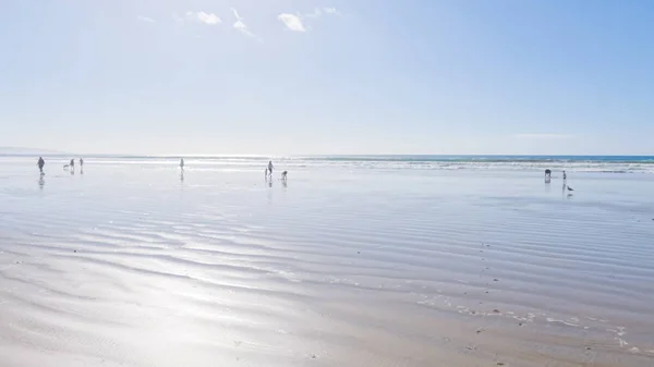 Spiaggia Pismo Sorprendentemente Vuota Durante Una Giornata Invernale Offrendo Atmosfera — Foto Stock