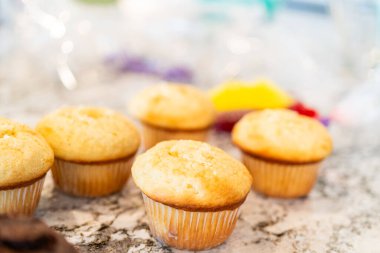 Lezzetli kaktüs kekleri yapma sürecinde taze pişmiş vanilyalı ve çikolatalı kekler keskin limon ve ahududu dolgusu ile cömertçe doldurulur.