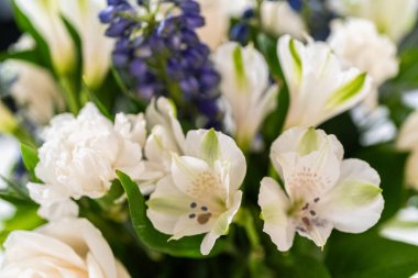 Taze beyaz güllerin ve çeşitli çiçeklerin bulunduğu büyüleyici bir buket, zarif bir vazoda düzenlenmiş, zamansız bir güzellik yayıyor..
