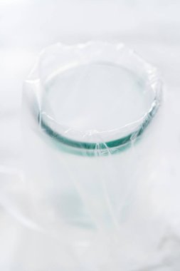 Şekerli kurabiyeleri süslemek için boru torbalarına ev yapımı kraliyet kreması aktarılıyor..