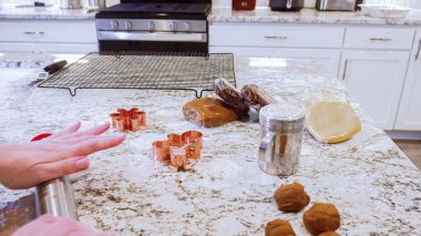 Çeşitli şenlikli kurabiye kesicilerle mermer tezgahtaki rulo hamurdan sevimli zencefilli kurabiyeler kesip modern mutfağa bayram neşesi getiriyorduk..