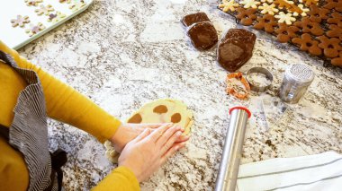 Çeşitli şenlikli kurabiye kesicilerle mermer tezgahtaki rulo hamurdan sevimli zencefilli kurabiyeler kesip modern mutfağa bayram neşesi getiriyorduk..