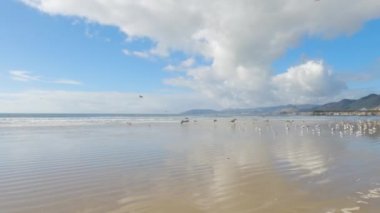 Pismo Sahili, kış günlerinde oldukça boş. Geniş kumlu sahili ve dalgaların rahatlatıcı sesleriyle huzurlu ve huzurlu bir atmosfer sunuyor..