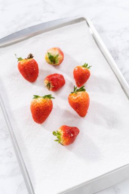 Sulu kırmızı çilekler, daha yeni yıkanmış, kabartma çarşafına serilmiştir, aşırı nemi emmek ve küfü önlemek için dikkatlice kağıt havlularla kaplanmıştır..