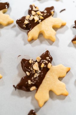 Çikolataya kısmen batırılmış ve fındık parçalarıyla kaplanmış, parşömen kağıdına yerleştirilmiş kesme şekerli kurabiyeler yaratmak..