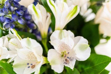 Taze beyaz güllerin ve çeşitli çiçeklerin bulunduğu büyüleyici bir buket, zarif bir vazoda düzenlenmiş, zamansız bir güzellik yayıyor..