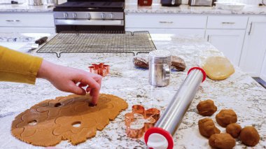 Çeşitli şenlikli kurabiye kesicilerle mermer tezgahtaki rulo hamurdan sevimli zencefilli kurabiyeler kesip modern mutfağa bayram neşesi getiriyorduk..