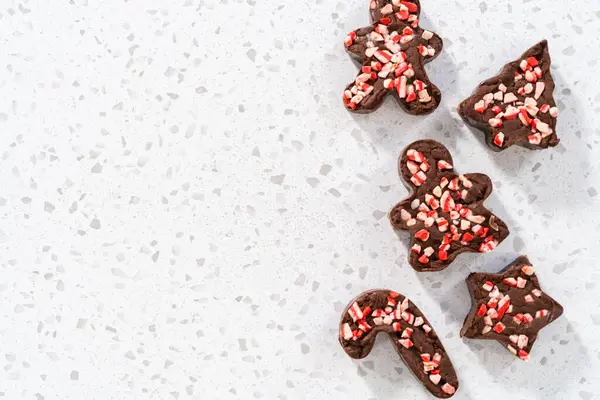 Frisch Gebackener Weihnachtsplätzchen Ausstecher Pfefferminz Fudge Auf Der Küchentheke — Stockfoto