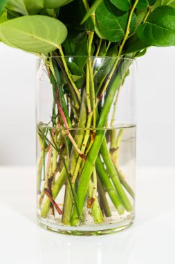 Taze beyaz güllerin ve çeşitli çiçeklerin bulunduğu büyüleyici bir buket, zarif bir vazoda düzenlenmiş, zamansız bir güzellik yayıyor..