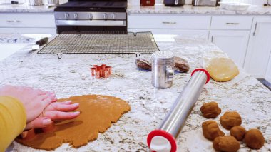 Çeşitli şenlikli kurabiye kesicilerle mermer tezgahtaki rulo hamurdan sevimli zencefilli kurabiyeler kesip modern mutfağa bayram neşesi getiriyorduk..