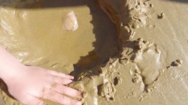 Küçük bir kız kışın soğuğu için Pismo Sahili 'nde kışın deniz kabuğu ve istiridye ararken sevinçle istiridye topluyor..