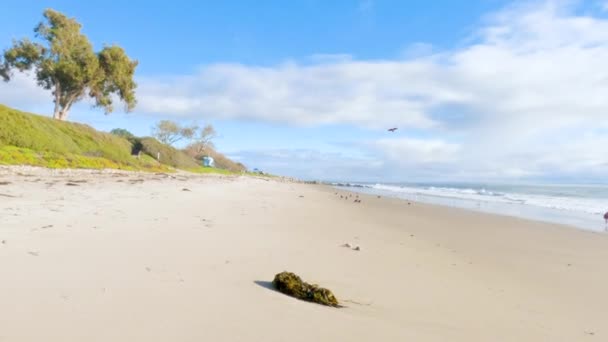 Калифорнии Отец Дочь Проводят Спокойную Зимнюю Прогулку Пустынным Пескам Пляжа — стоковое видео
