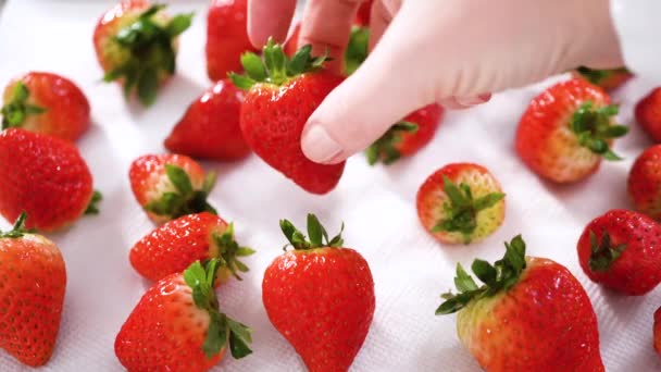 Saftige Rote Erdbeeren Frisch Gewaschen Werden Zum Trocknen Auf Einem — Stockvideo