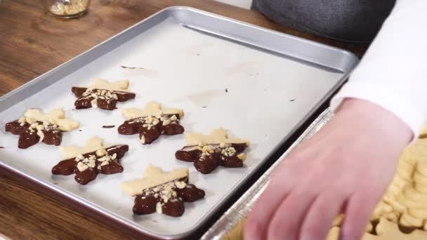 Preparazione Biscotti Forma Stella Metà Immersi Nel Cioccolato Accentati Con — Video Stock