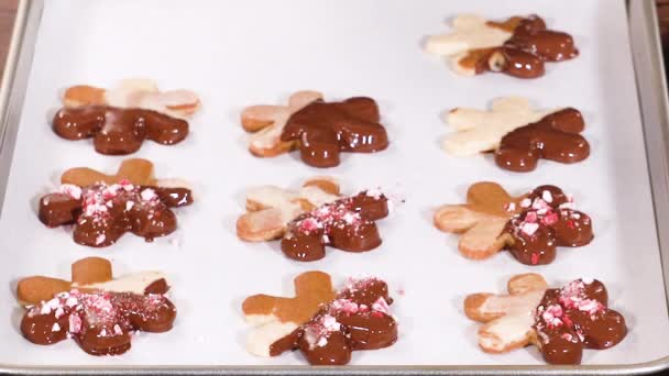 Печенье Форме Звезды Полуокунутое Шоколад Акцентом Мятные Шоколадные Чипсы Праздники — стоковое видео