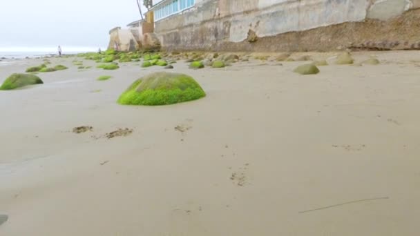 Прогулка Вдоль Берега Пляжа Мирамар Калифорния Пасмурное Зимнее Небо Создает — стоковое видео