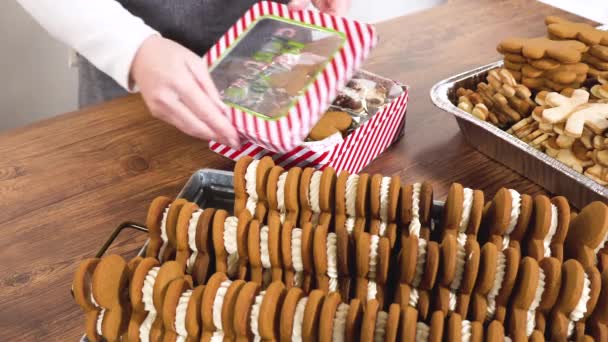 Liefdevol Zelfgemaakte Peperkoek Suikerkoekjes Half Ondergedompeld Rijke Chocolade Genesteld Decoratieve — Stockvideo