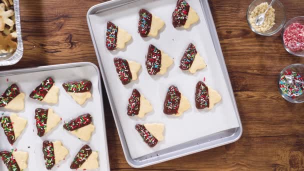 Düz Yatıyordu Dikkatlice Paketlenmiş Noel Kurabiyeleri Çikolataya Batırılmış Şeffaf Selofan — Stok video