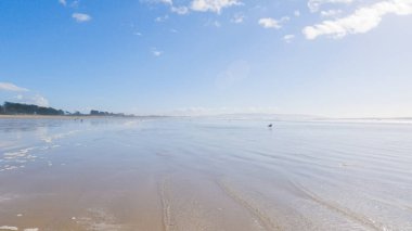 Pismo Sahili, kış günlerinde oldukça boş. Geniş kumlu sahili ve dalgaların rahatlatıcı sesleriyle huzurlu ve huzurlu bir atmosfer sunuyor..