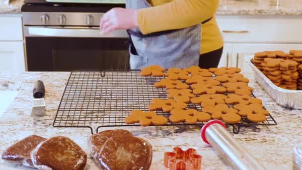 Свіжоспечене Імбирне Печиво Знаходить Своє Місце Стійці Охолоджуючого Дроту Сучасній — стокове відео