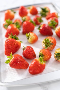 Sulu kırmızı çilekler, daha yeni yıkanmış, kabartma çarşafına serilmiştir, aşırı nemi emmek ve küfü önlemek için dikkatlice kağıt havlularla kaplanmıştır..