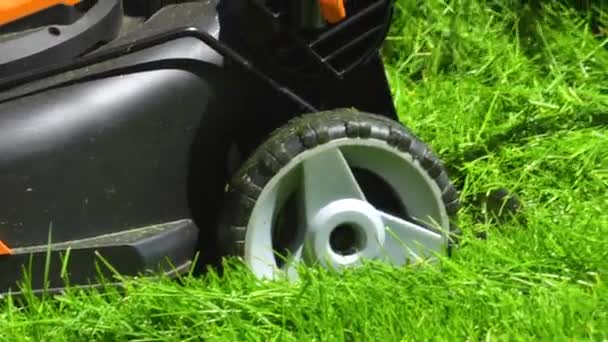 Einem Wohnhaus Stadtrand Wird Ein Saftig Grüner Rasen Mit Einem — Stockvideo