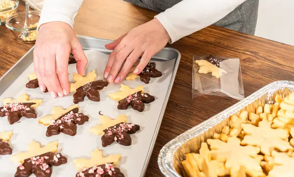 Preparing Star Shaped Cookies Half Dipped Chocolate Accented Peppermint Chocolate — Stock Photo, Image