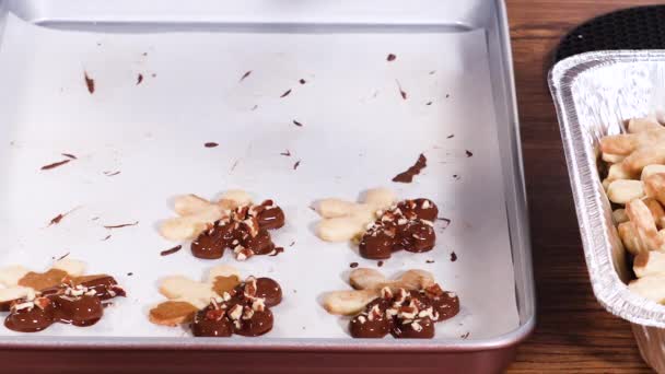 Preparação Biscoitos Forma Estrela Meio Mergulhados Chocolate Acentuados Com Chips — Vídeo de Stock