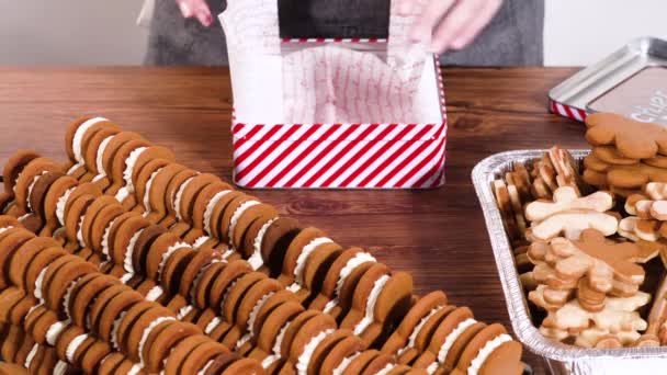 可爱的自制姜饼和糖饼干 一半浸在浓郁的巧克力中 安顿在装饰精美的圣诞锡盒中 非常适合季节性送礼 — 图库视频影像