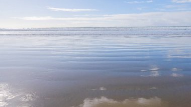 Pismo Sahili, kış günlerinde oldukça boş. Geniş kumlu sahili ve dalgaların rahatlatıcı sesleriyle huzurlu ve huzurlu bir atmosfer sunuyor..