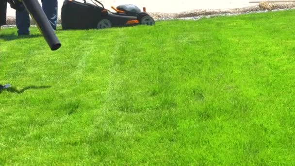 キャッスルロック コロラド 2023 住宅郊外の家で 緑豊かな芝生は 電気芝刈り機を使用して細心の注意深く芝生を作成し よく目立つと屋外スペースを招待 — ストック動画