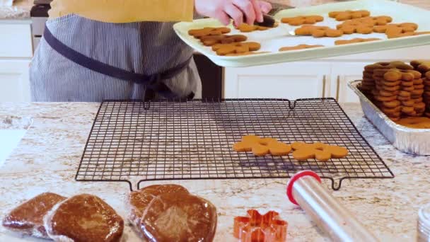Les Biscuits Pain Épice Fraîchement Cuits Trouvent Leur Place Sur — Video